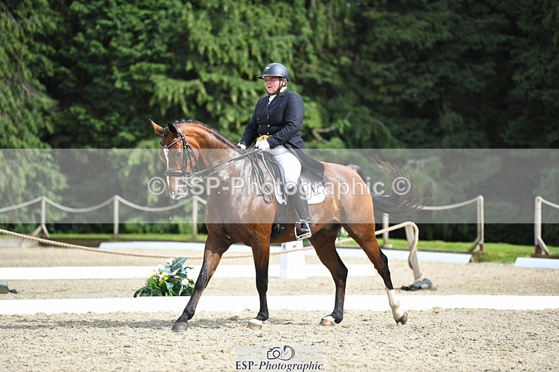 230812-155356-05244 - Cls 10 FEI Inter I Silver