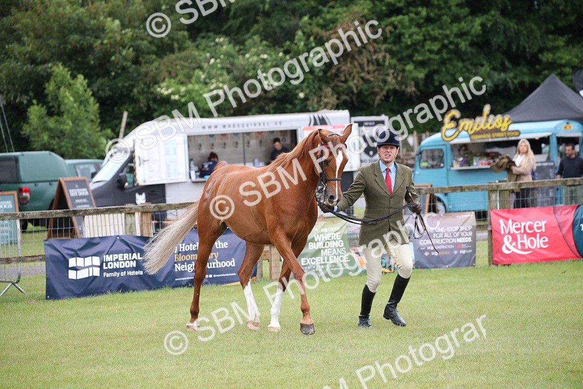 SBM_03639 - Class 21 - 22 - Ridden Arab and Part Bred/Anglo Arab