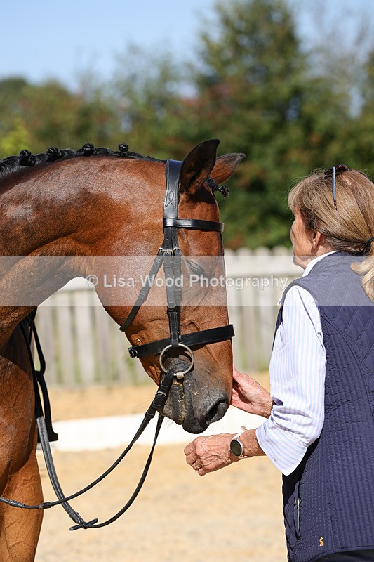 1X9A7917 - Class 10:Riding Horse