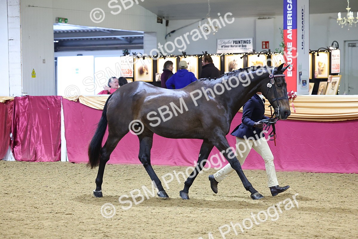 SBM_19606 - Class 901 - Supreme Final - IH Diamond