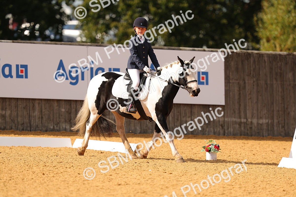 SBM_48299 - D22 - Junior Championship - Intro B