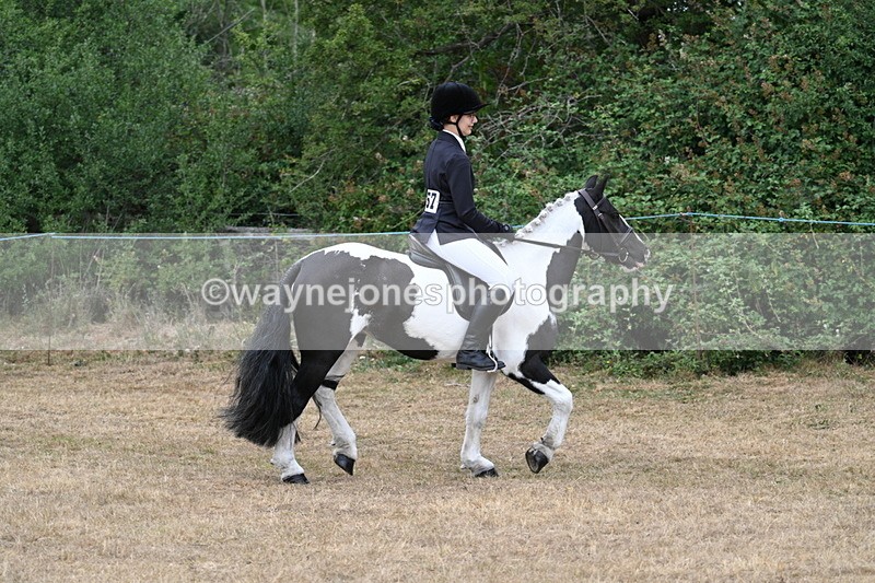 WJ7_7612 - Class 3 Family Mount