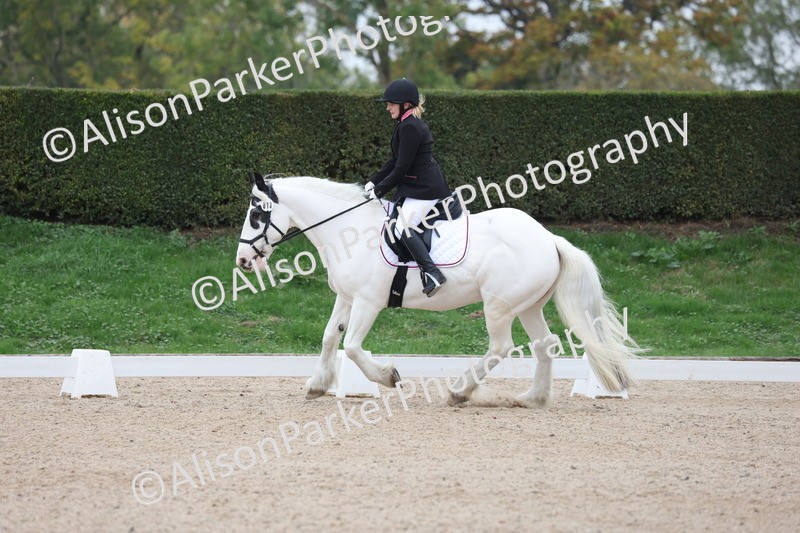 20251011-0162 - Class 2 - Prelim 1