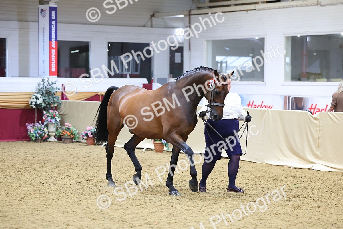 SBM_21058 - Class 902 - Supreme Final IH Veteran