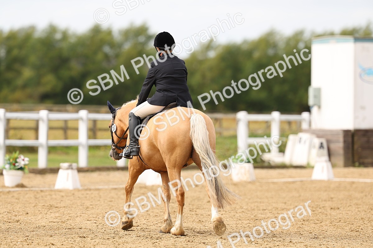 SBM_012227 - Class 2 - Prelim 19 11.39-12.56