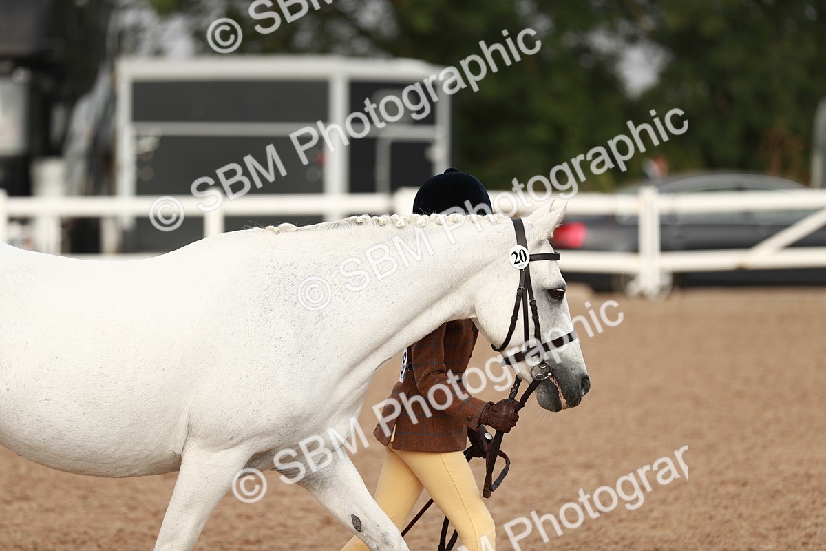 SBM_09837 - Class 203 Young Handler, 10 years and under