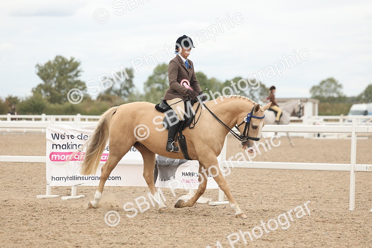 SBM_18244 - Class 315 - Best Horse-Rider Combination