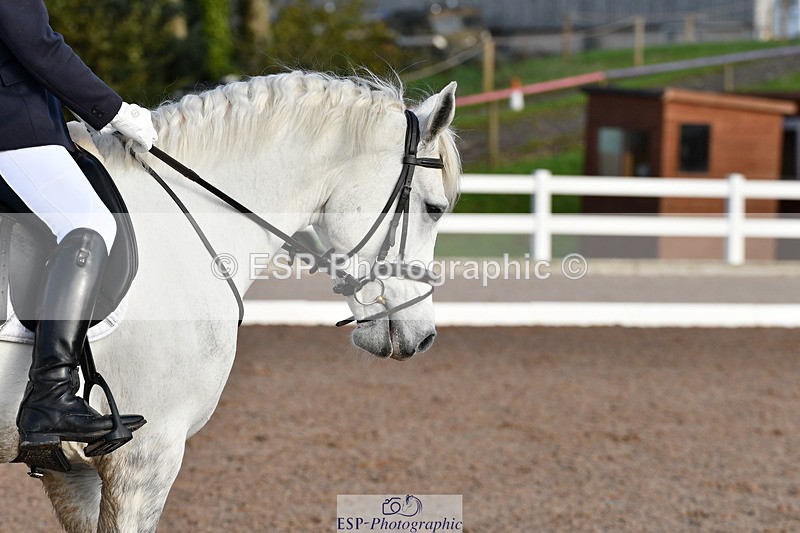 231104A-104203-00134 - Cls 4 Novice 22