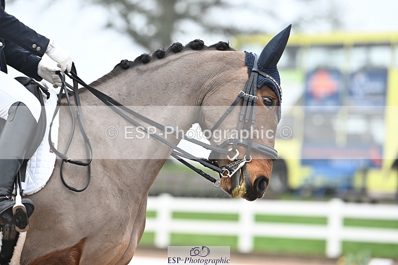 240217A-115802-02482 - 228-Abby.Bannell-Royal.Dalliance