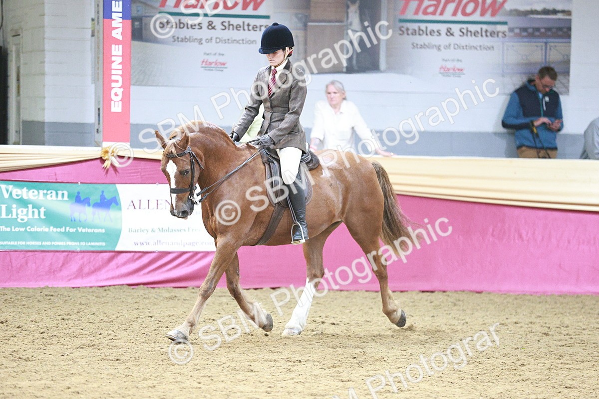 SBM_07131 - Class 10R - Regional Ridden Diamond