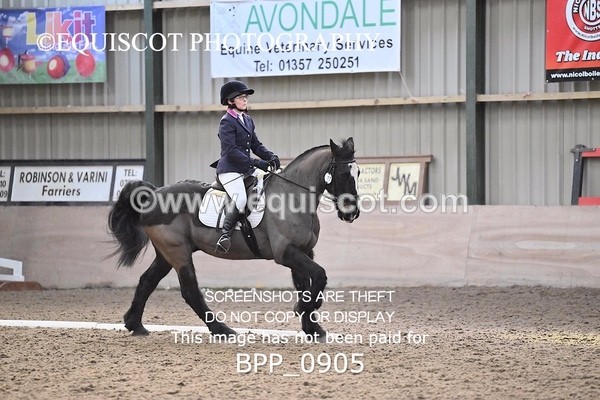 BPP_0905 - 17 - L GALLACHER