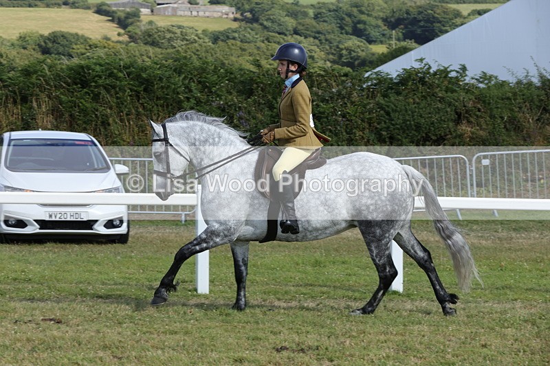 1X9A5883 - Class 41:. NPS New Forest & Connemara