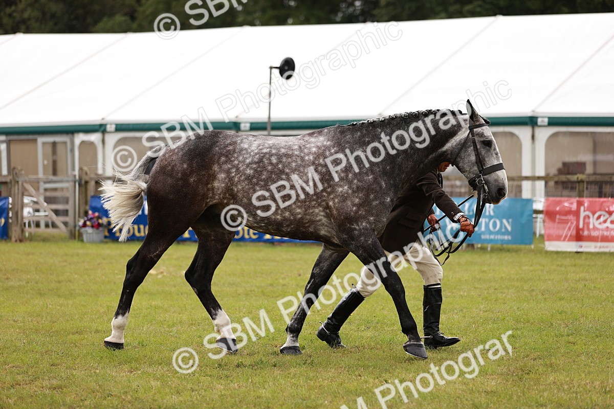 SBM_10943 - Class 81-84 - RIHS Ridden hunters Inc Ladies Hunter