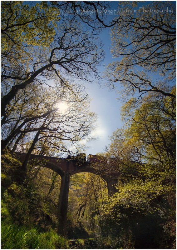 Talyllyn Railway - Celtic Wales