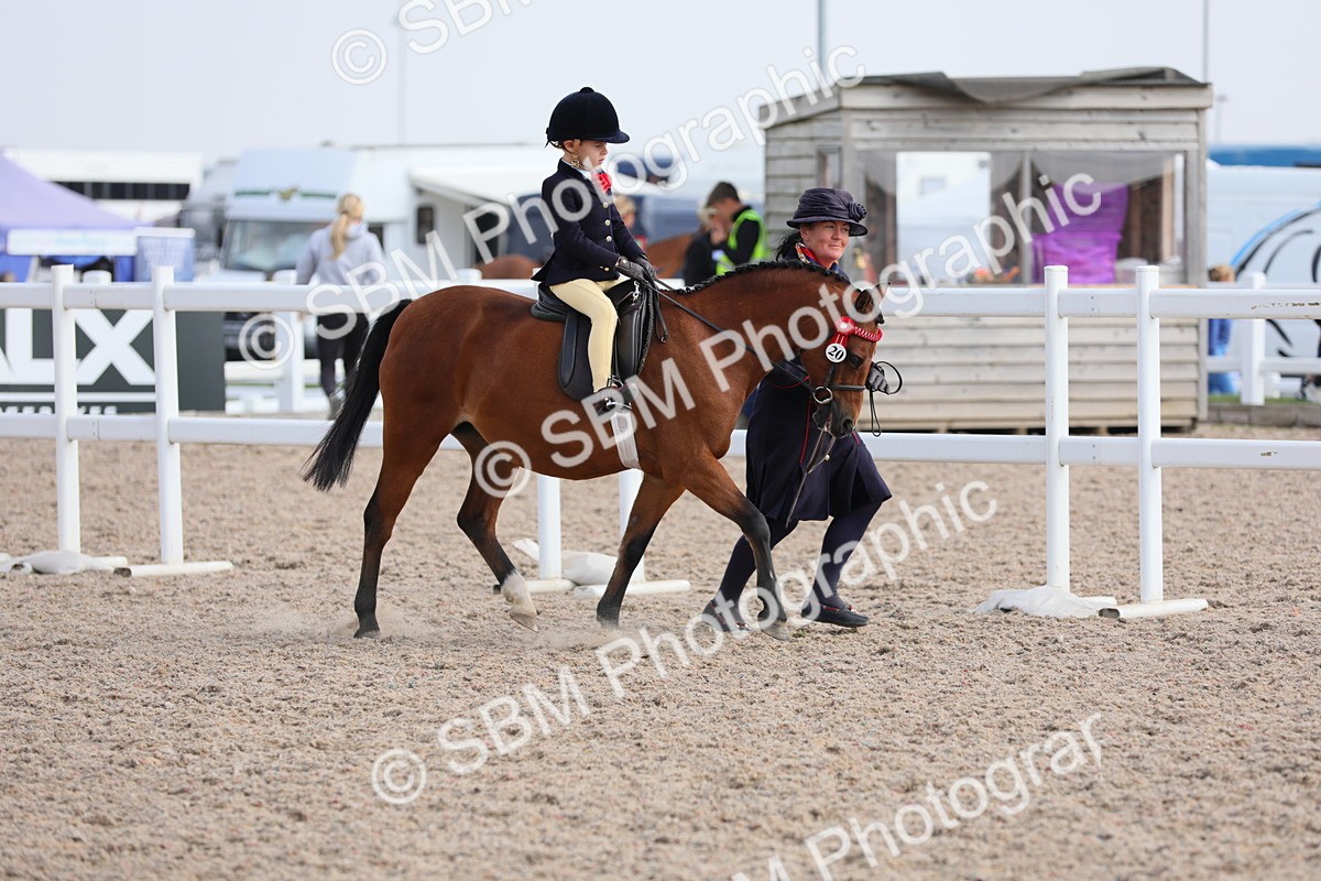 SBM_13983 - Class 309 Lead Rein Pony