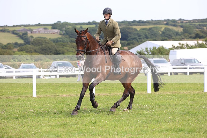 JPP_3770 - Class 23: Working Hunter 80cm