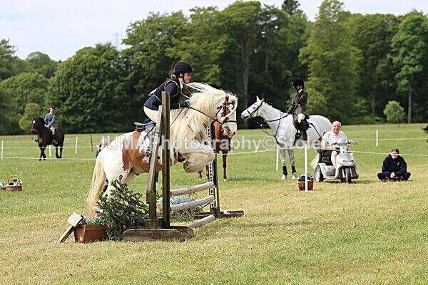 IMG_3055 - Working Hunter