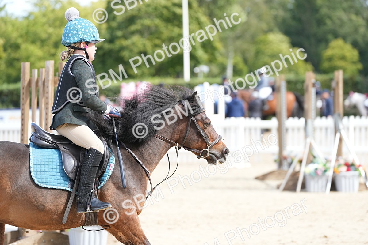 SBM_20630 - J49 - Open 50cm