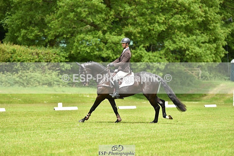 240523B-124322-02230 - 5 Year Old