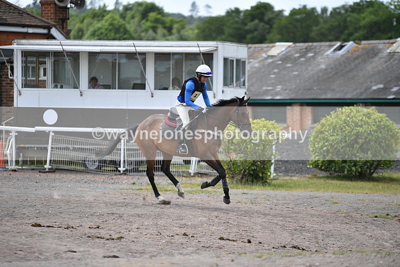 WJ5_6937 - Time 11:18 to 11:27