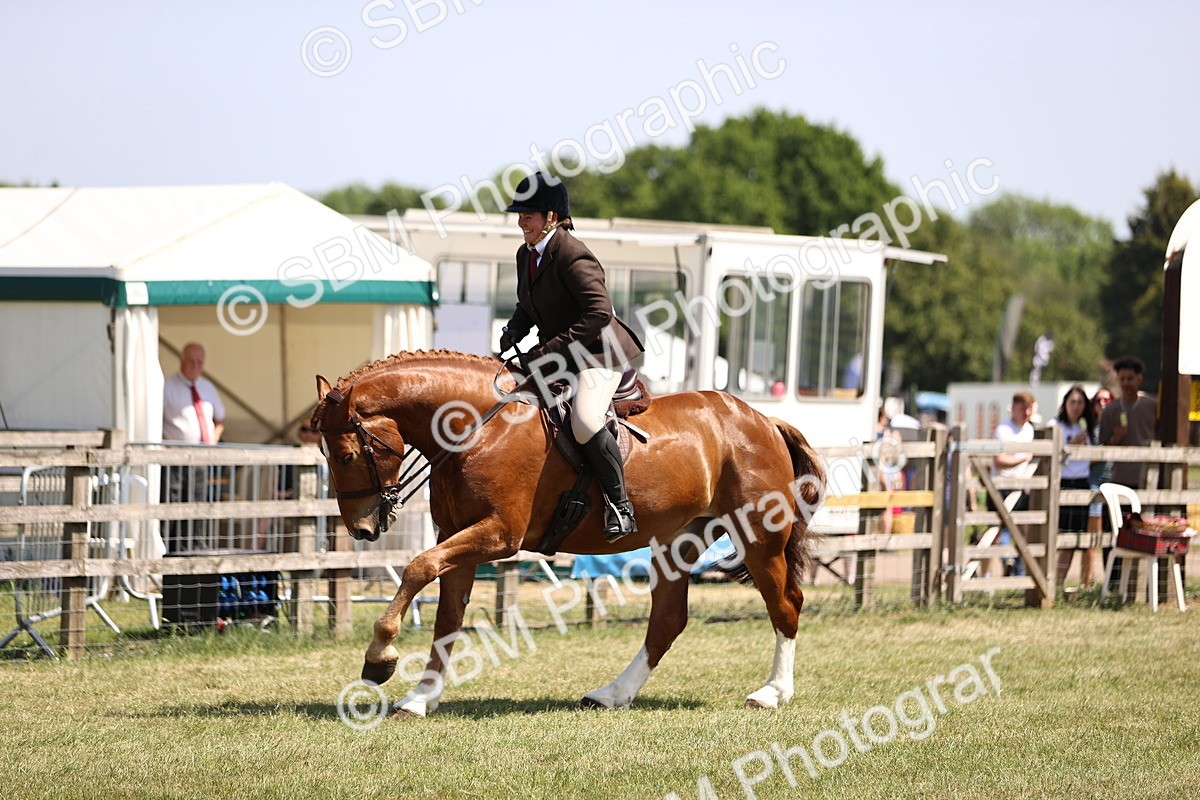 SBM_17738 - Class 81-83 - TSR Ridden Amateur of the Year - Horses