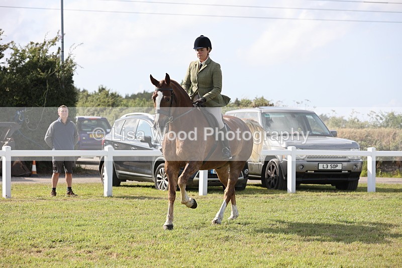 JPP_3008 - Class 20: Working Hunter 70cm