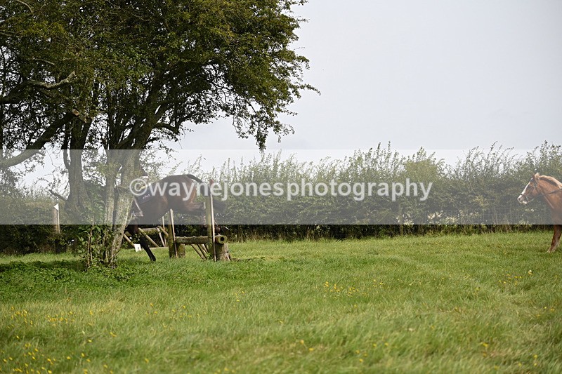 WJ6_8292 - Time 12:18 to 12:59