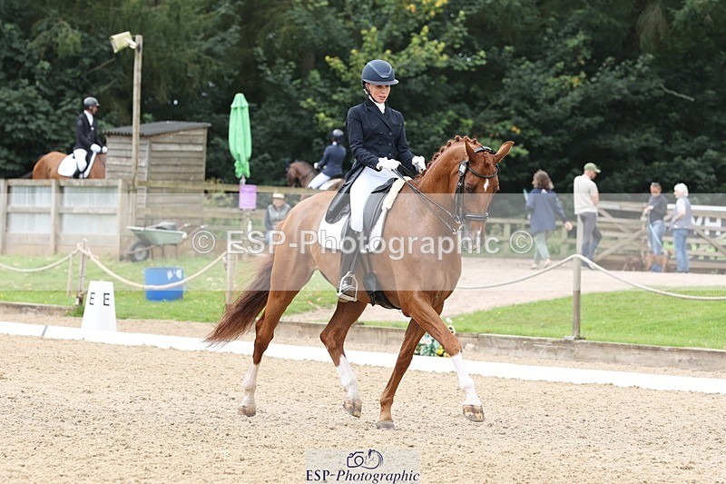 240810-133038-03325 - 188-Amanda.Towle.Shaw-Rockwood.Virtue