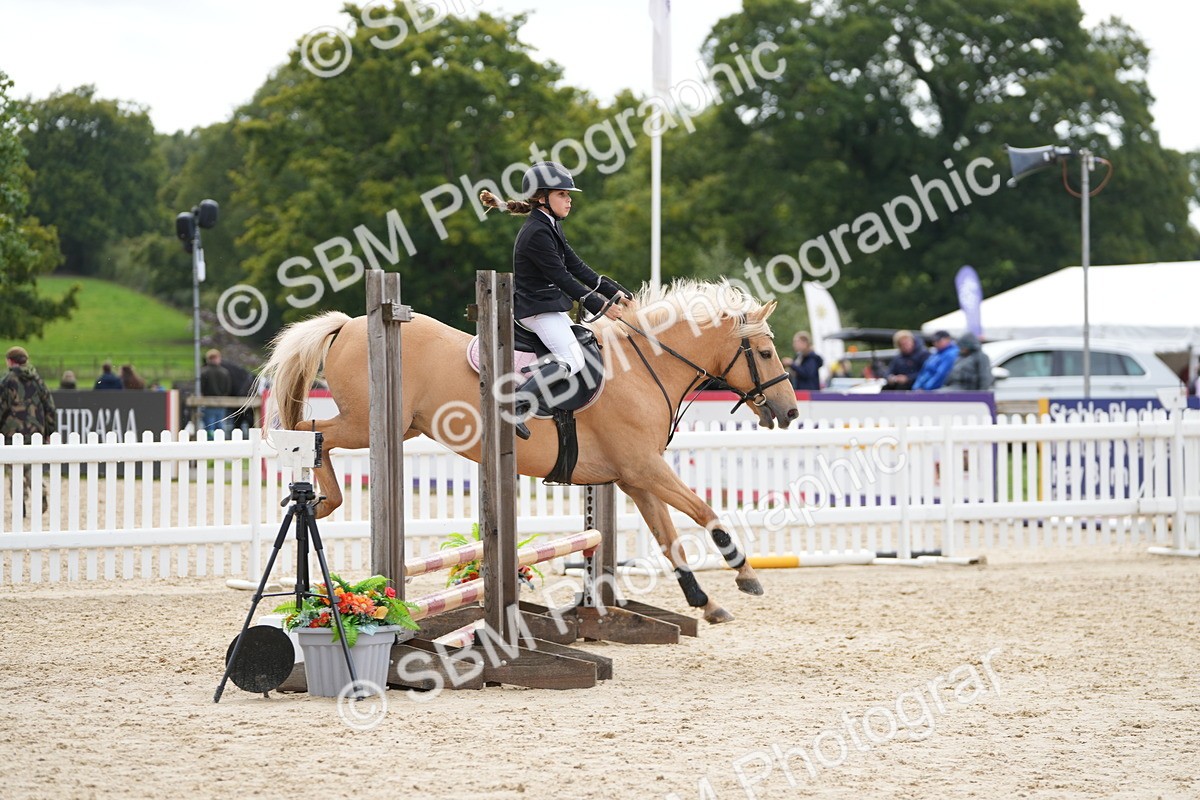 SBM_40031 - J6 - Junior Pony 55cm Championship