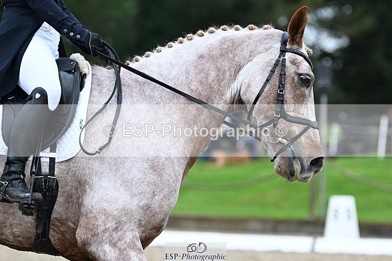 231019-112304-01799 - 038-IRISH.KONNECTION-Natasha.Anson-DR