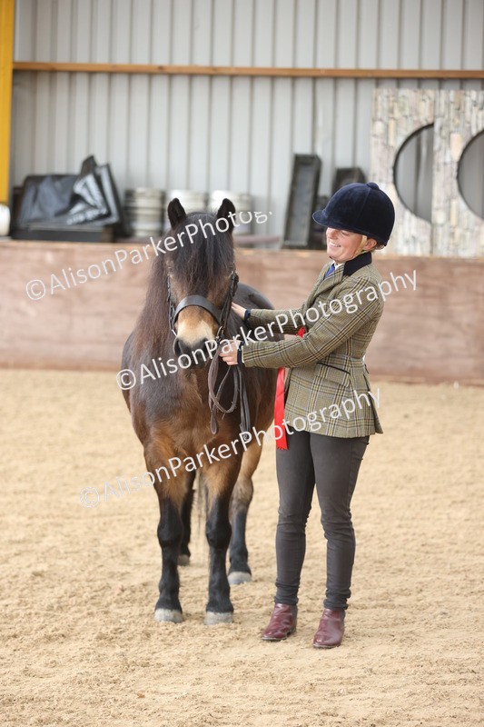 20251109-0673 - Class 22 - Geldings 4 Years and over