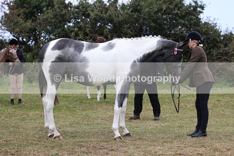 3E7A4164 - Class 15: Two Year Olds