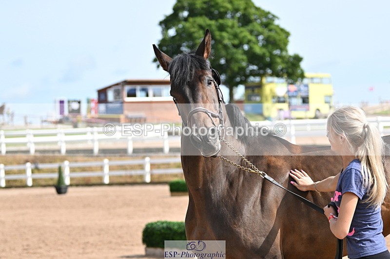 240717A-160341-03307 - Trot Up 4pm to 5pm