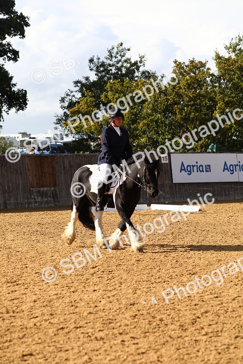 SBM_26774 - D11 - Small Tour Championship Prelim 1