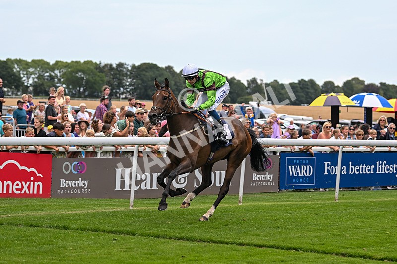 290725-Race 2-Queen Roslyn-9781 - Race 2