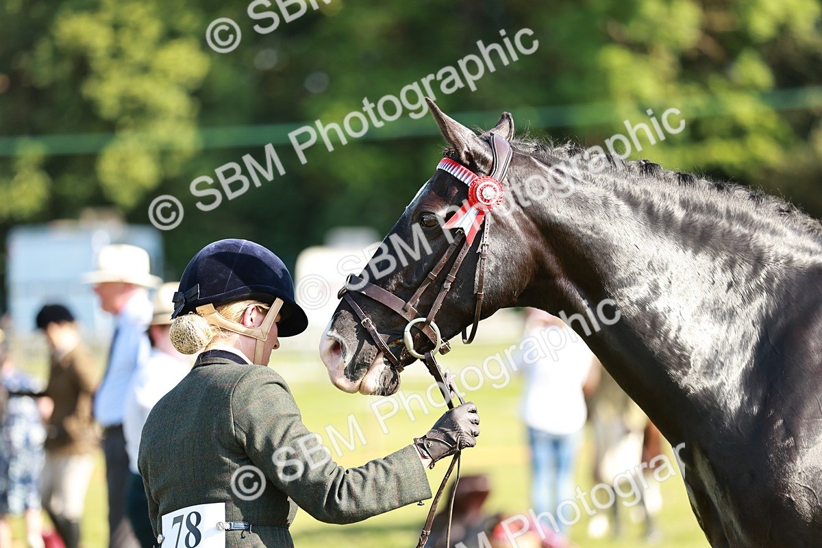 SBM_19272 - Class 115-116 - LIHS BSHA Rising Star Working Hunter & Show Horse