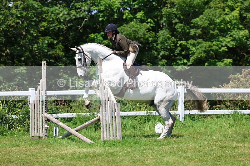 3E7A7477 - Class 31: Working Hunter Cob/Riding Horse