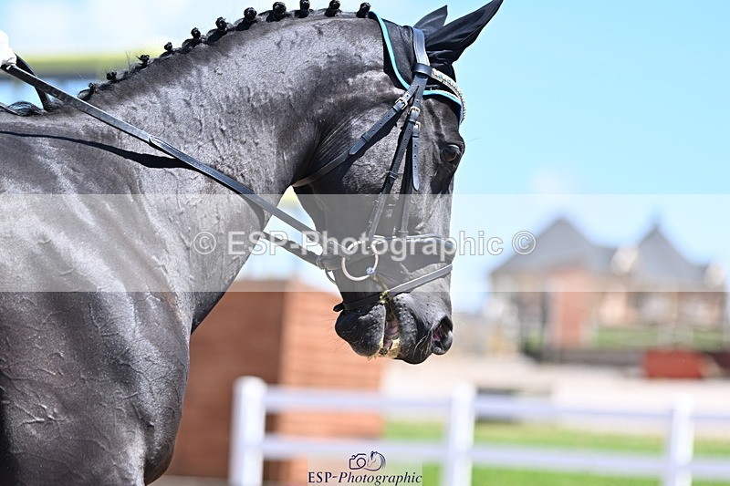 240621A-130653-03638 - Cls 8 BD Elementary 53