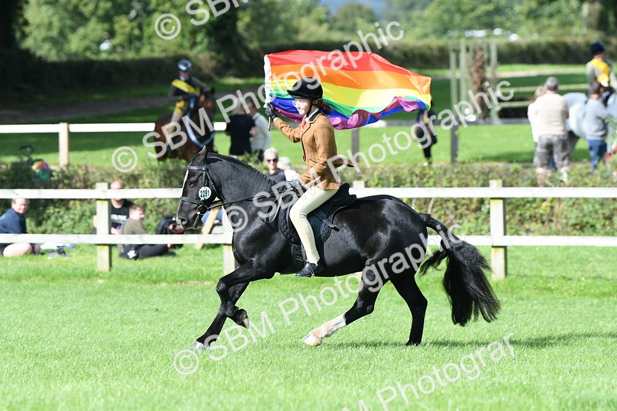 SBM_47050 - S12 - Family Horse & Pony