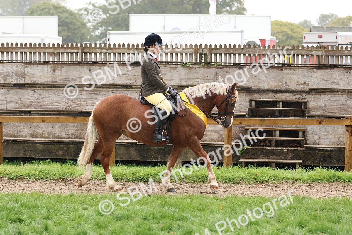 SBM_73091 - Ridden Pony Supreme Championship