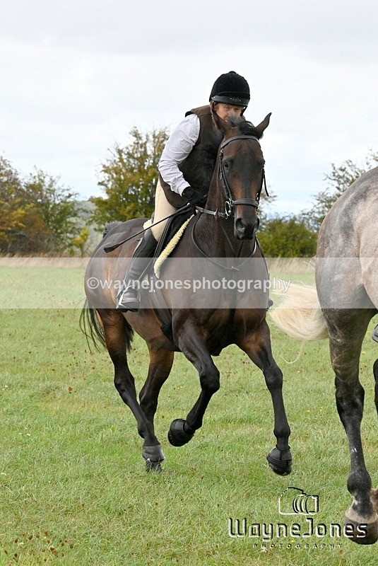 WJ7_0958 - Berks & Bucks Hound Exercise Blewbury 13-09-26