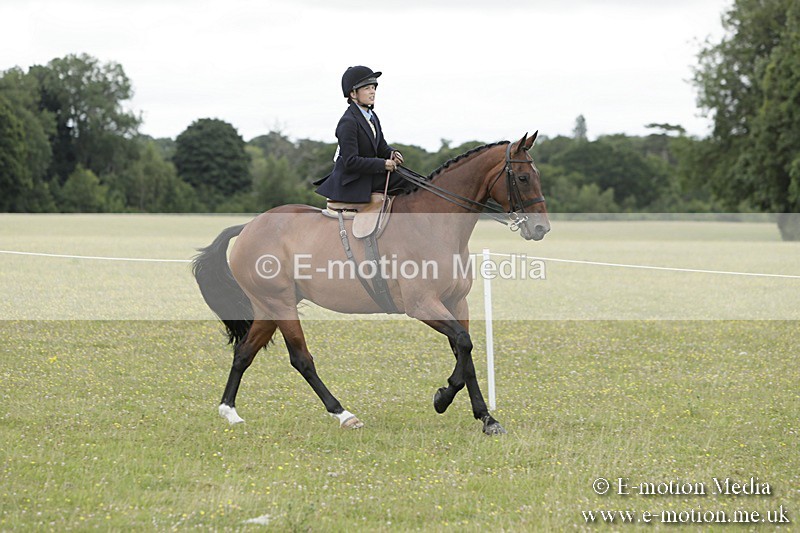 BVR160717-2362 - Side Saddle Classes 16/07/17