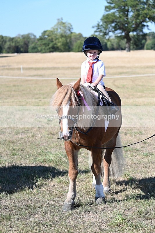 WJ7_2163 - Class 44 Child's Best Friend
