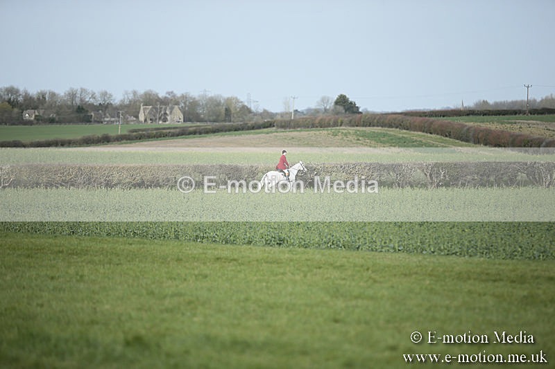 PtP 230319 305 - VWH Hunt Siddington Point-to-Point Racing 23/03/19