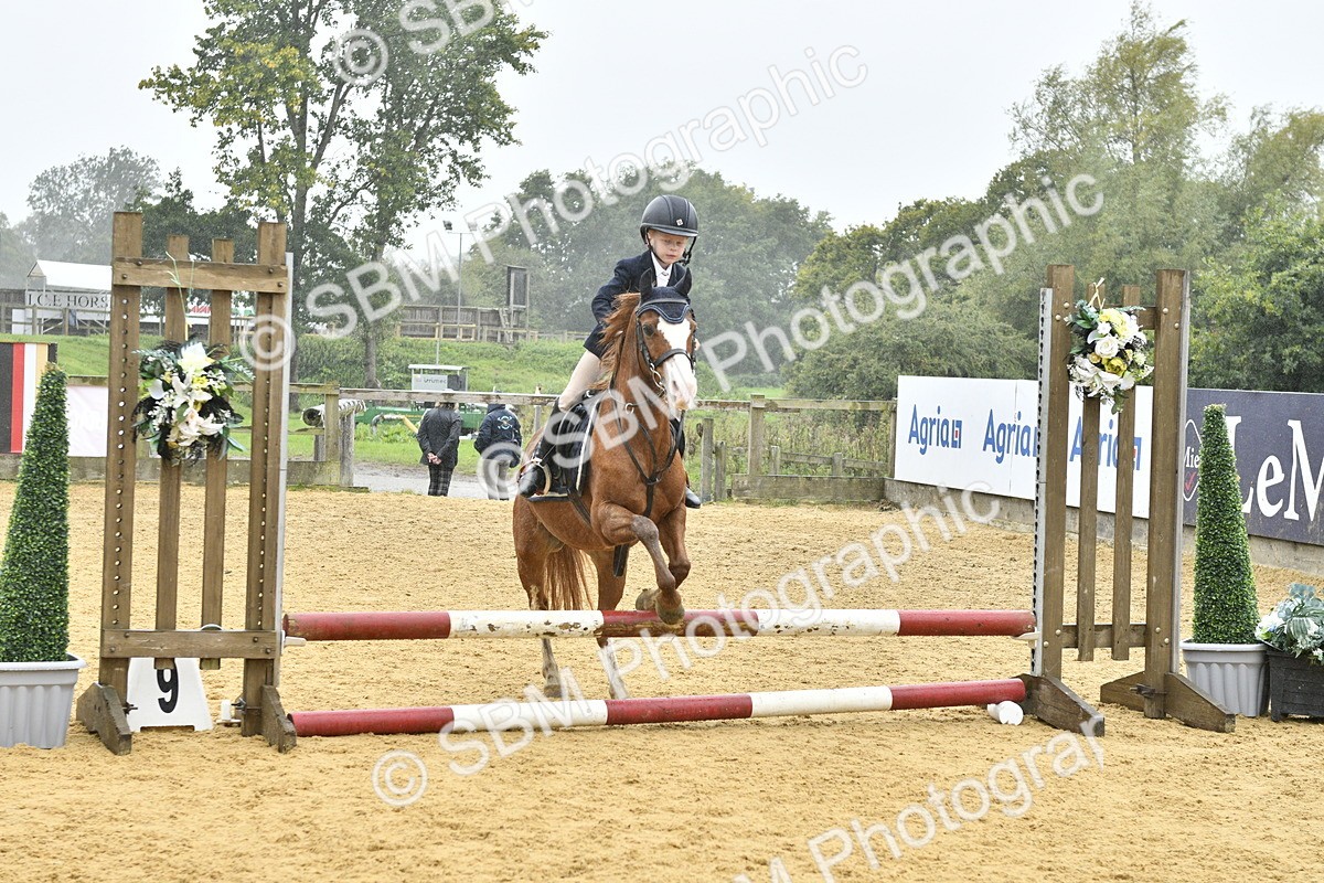 SBM_70968 - J3 - Mini Tour Junior Pony 40cm championship