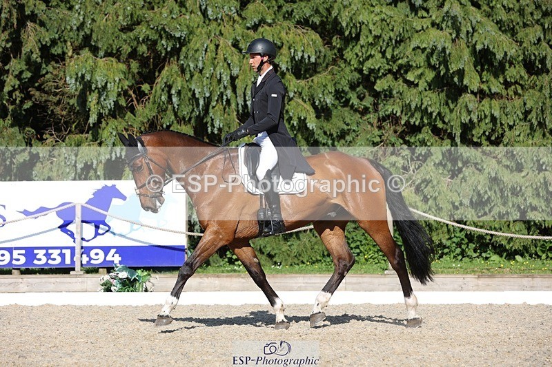 230526-174050-08007 - 180-GUEULE_DE_REVE-Arthur_Duffort-WEDTrotUp+DR