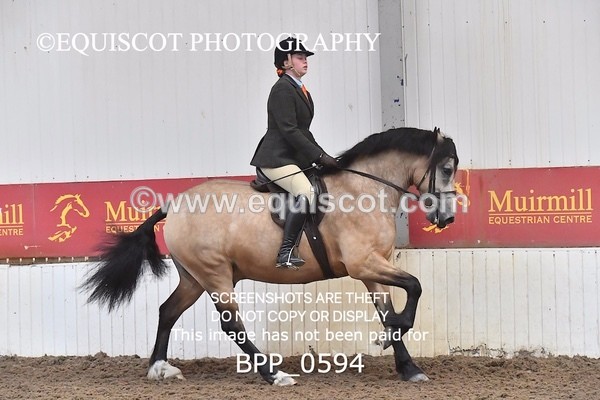 BPP_0594 - RING 2