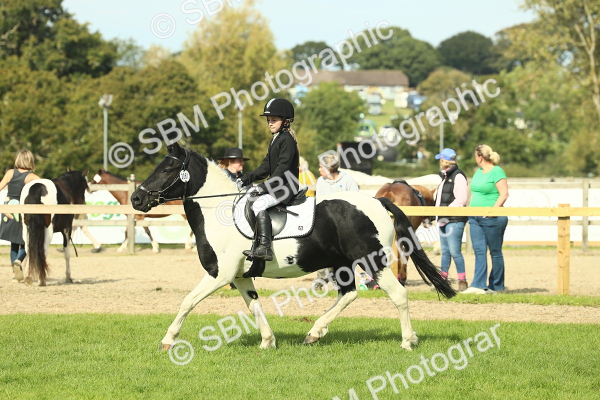 SBM_68853 - S58 - Mini Show Cob Ridden