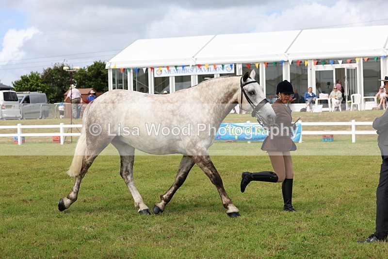 3E7A0364 - Class 6: Rising Star Maxi Cobs