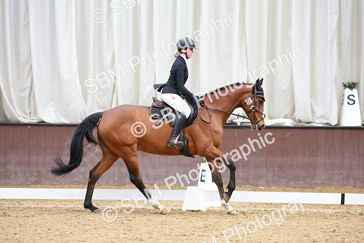 SBM_003339 - Class 11 - Novice 2